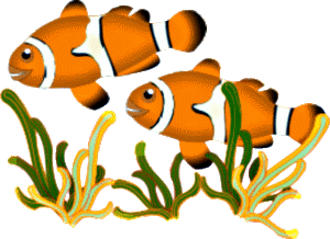 300x218 Top 84 School Of Fish Clip Art
