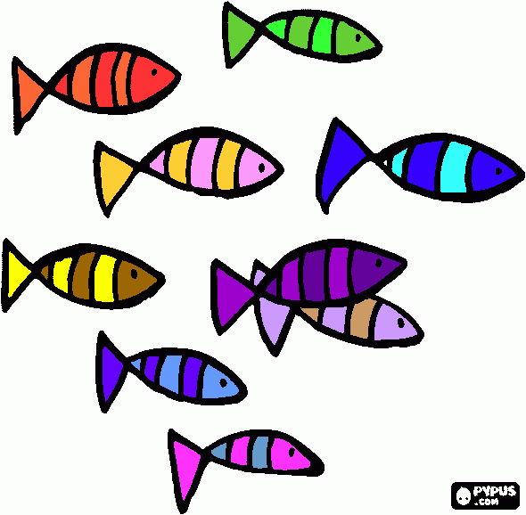 590x578 Free School Of Fish Clipart Image