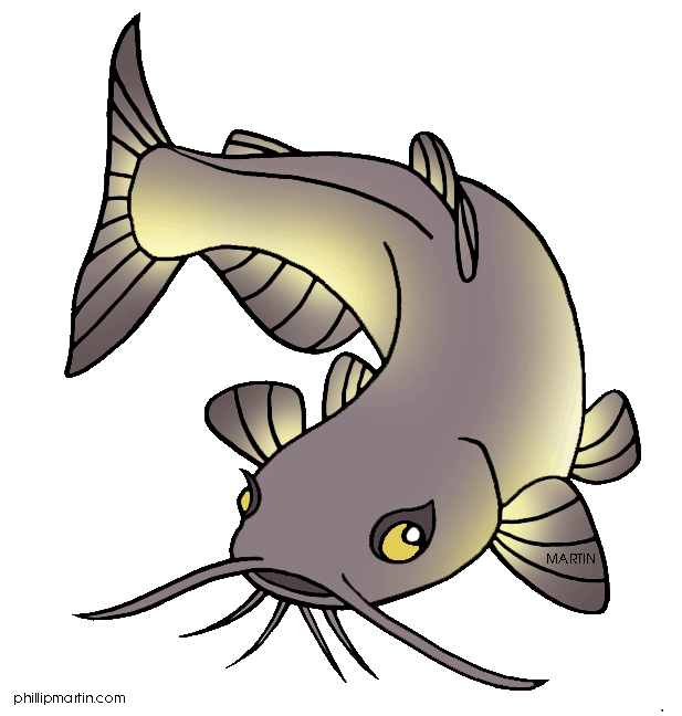 617x648 Fishing Clipart Catfish
