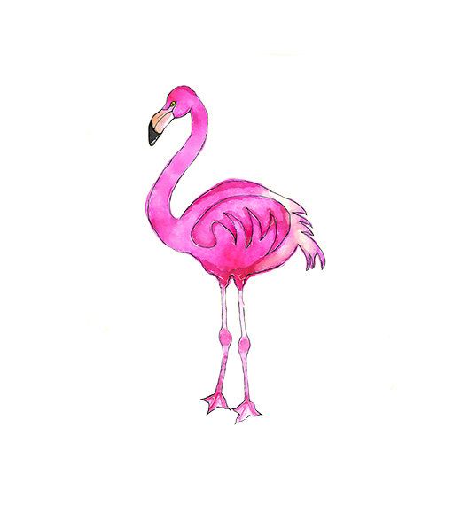 529x570 Flamingo Clip Art Free Clipart Images 4 2