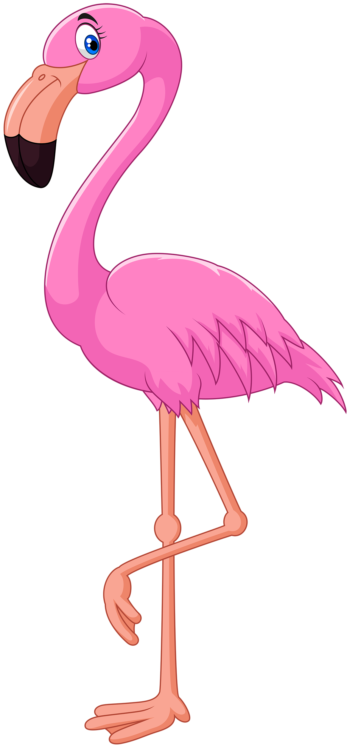 1165x2500 Pink Flamingo Clip Art