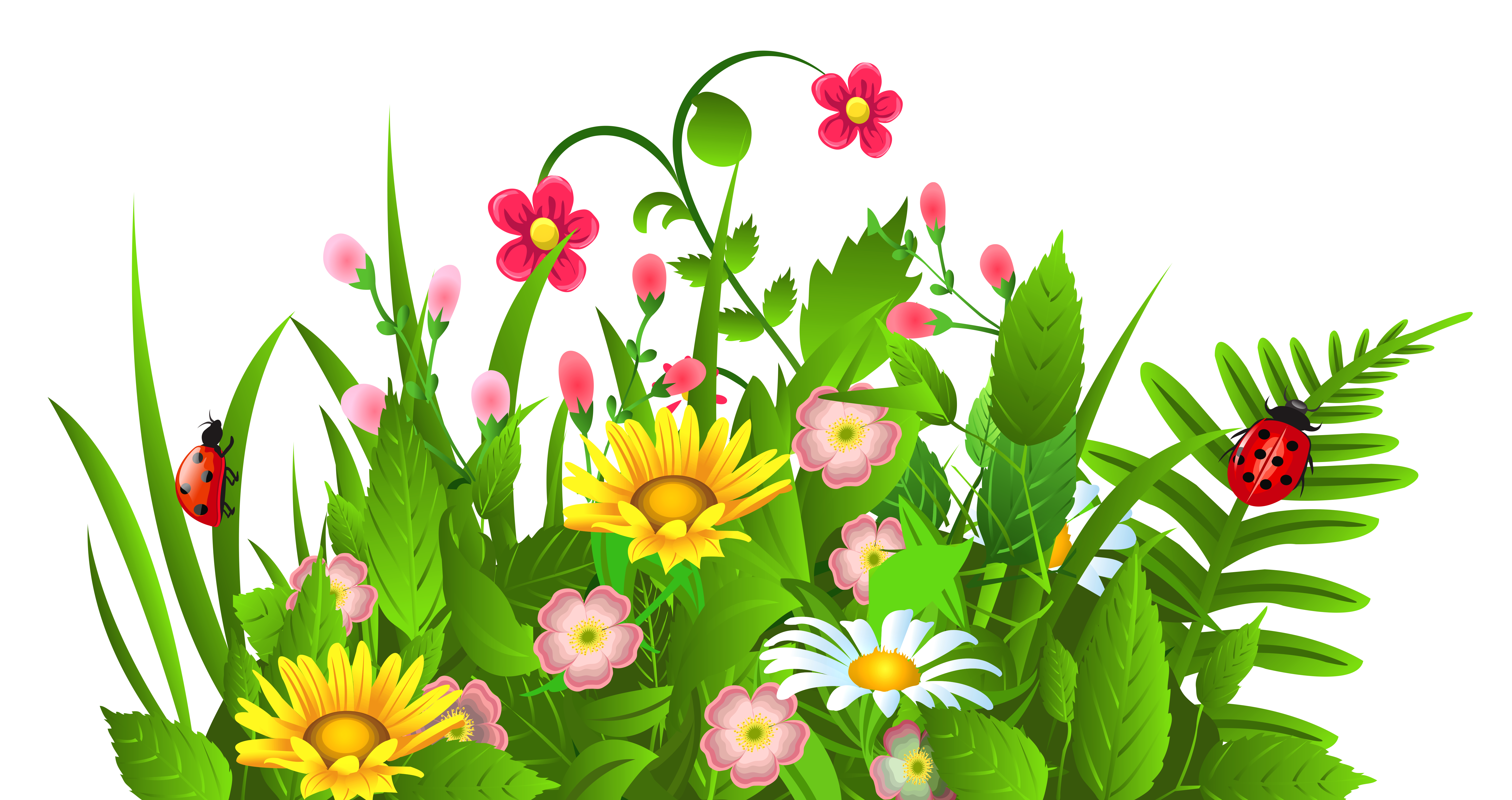 6287x3328 Top 96 Spring Flowers Clip Art