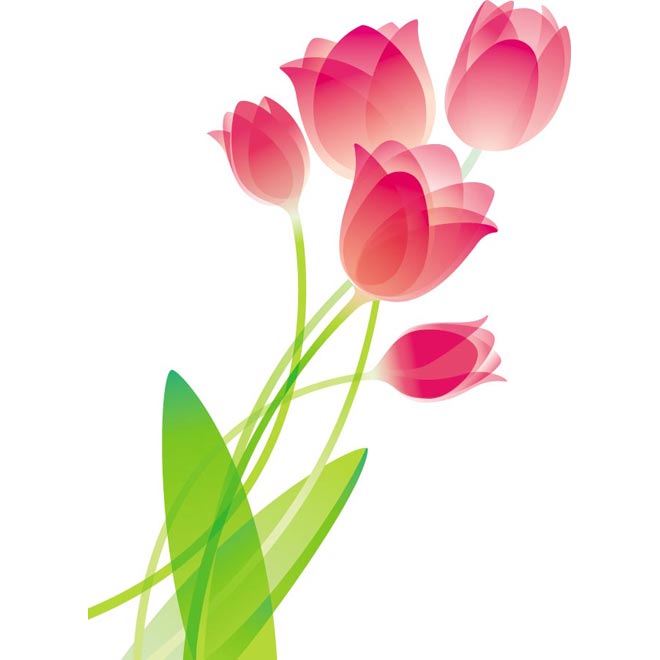 660x660 Free Flower Vectors
