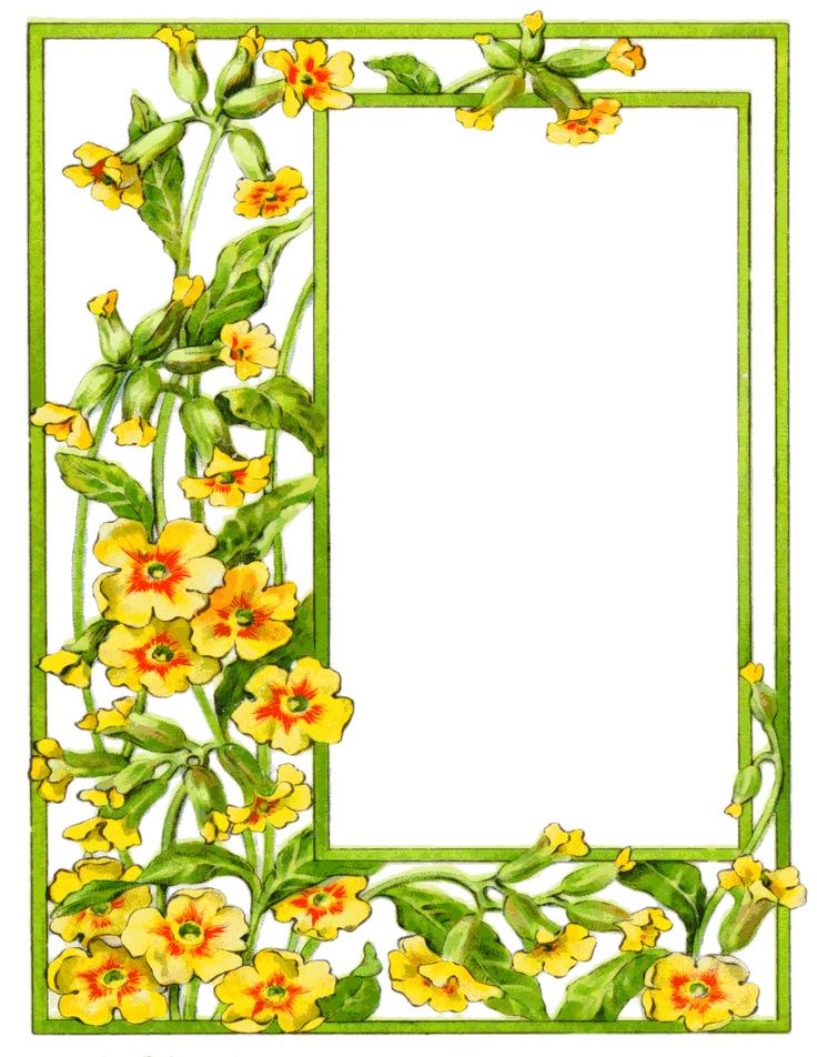 736x952 The Best Flower Border Clipart Ideas Clipart