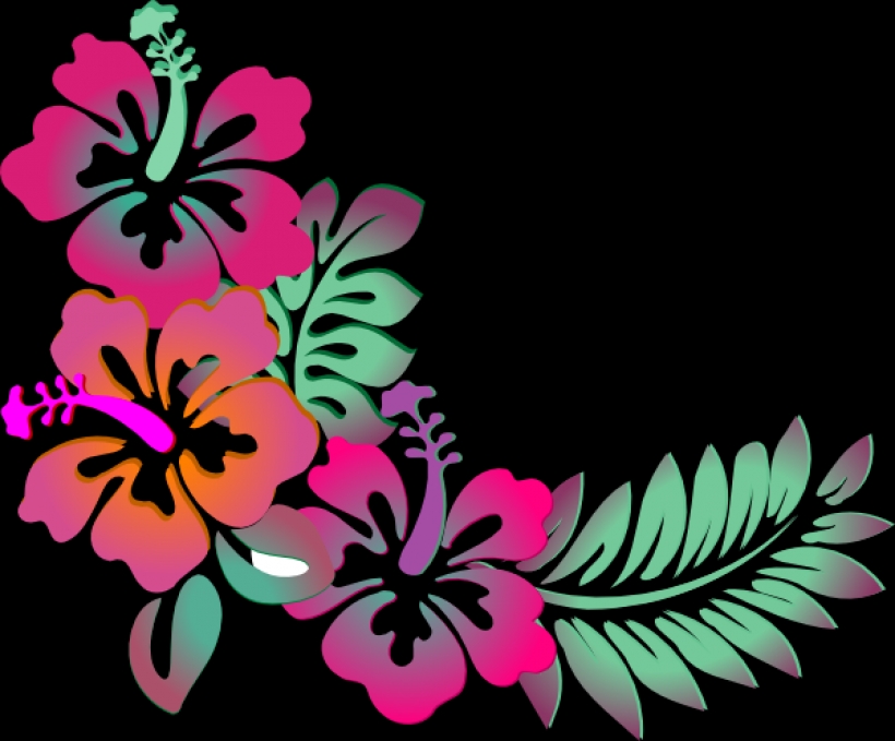 820x679 Hawaiian Flower Clip Art Borders Clipart Panda Free Clipart Images