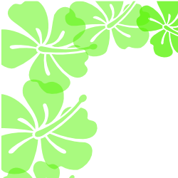 250x250 Free Borders And Clip Art Downloadable Free Hibiscus Flower Borders