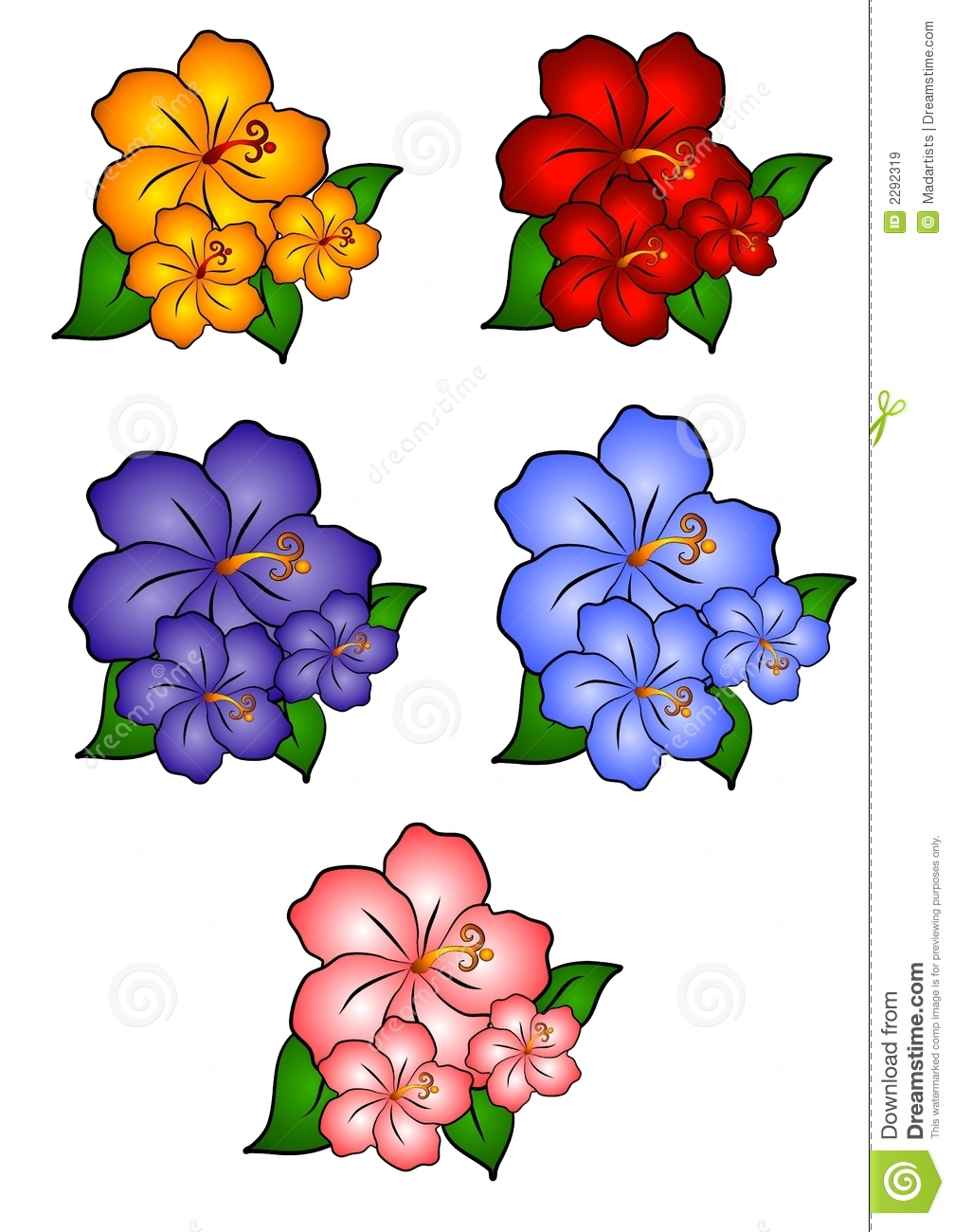 1007x1300 Hawaiian Flower Clip Art Borders Clipart Panda