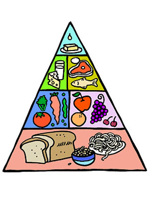 291x388 Food Pyramid Clipart Many Interesting Cliparts