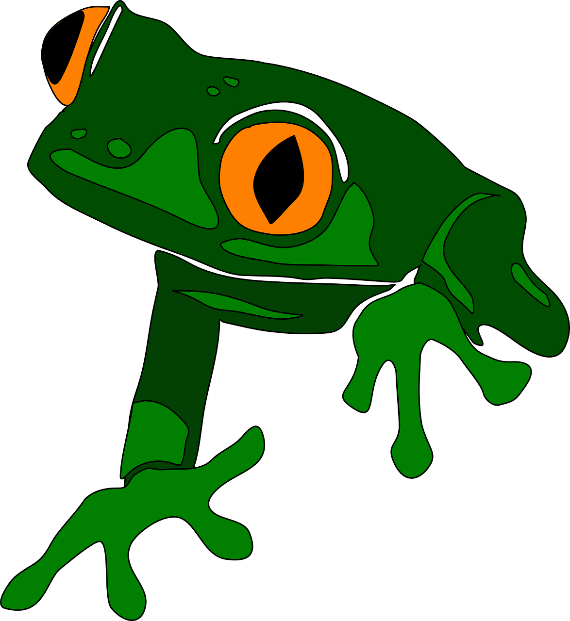 1174x1280 Free To Use Amp Public Domain Frog Clip Art