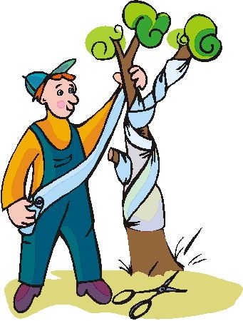 341x450 25 Best Gardening Images Clip Art, Plants And Flowers