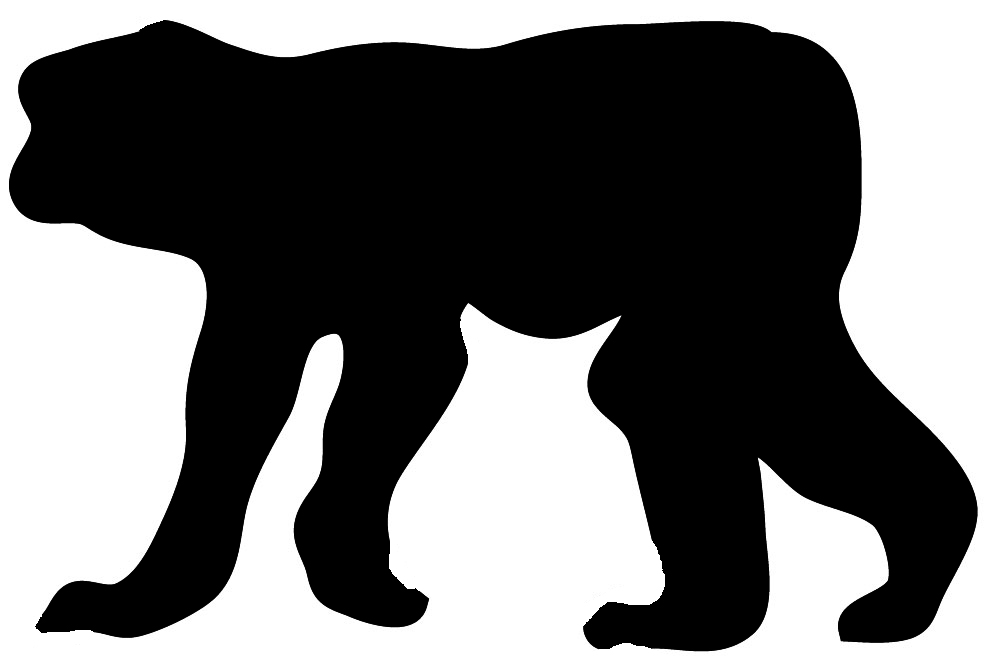 1000x667 Shaow Clipart Gorilla