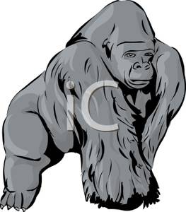 263x300 Top 83 Ape Clip Art