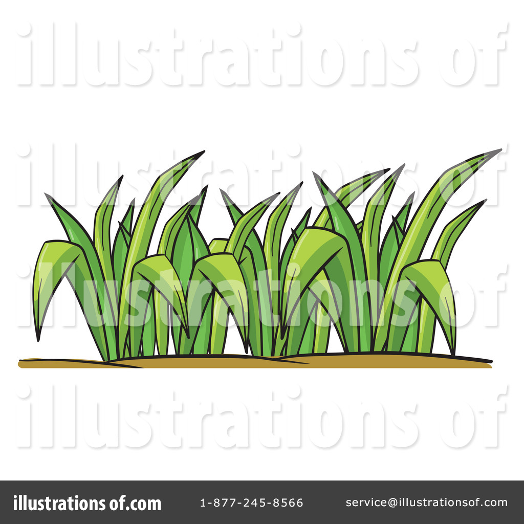 1024x1024 Grass Clipart