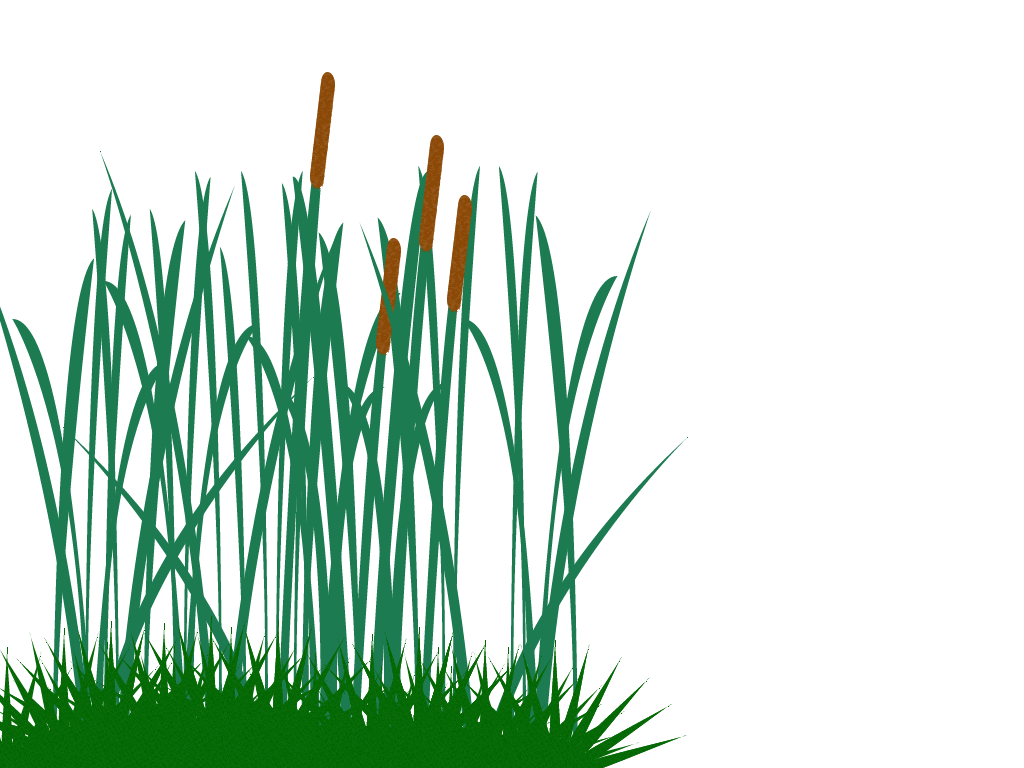 1024x768 Tall Grass Clip Art Png