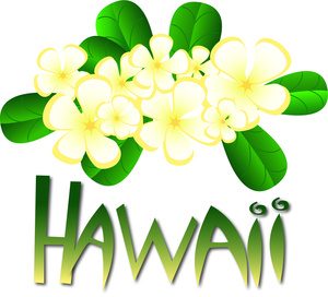300x272 Dazzling Ideas Hawaiian Clipart Clip Art Free Downloads Images