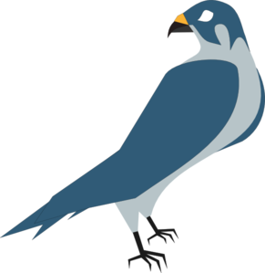 291x299 Hawk Clip Art