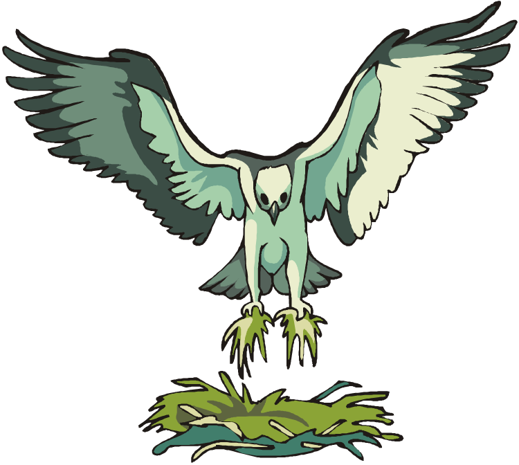 750x672 Hawk Clipart Osprey