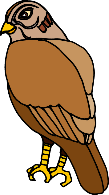 354x633 Top 63 Hawk Clip Art