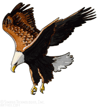 200x216 Eagles Hawks Clip Art Royalty Free