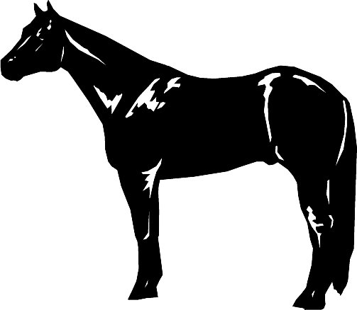 503x438 Graphics For Horse Clip Art And Graphics