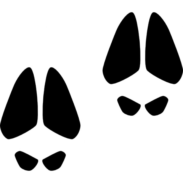 626x626 Animal Footprints Of A Mammal Icons Free Download