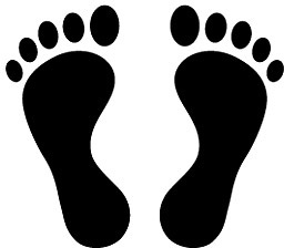 256x224 Footprint Free Vector Download (108 Free Vector) For Commercial