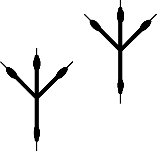 600x576 Free Images Of Footprints