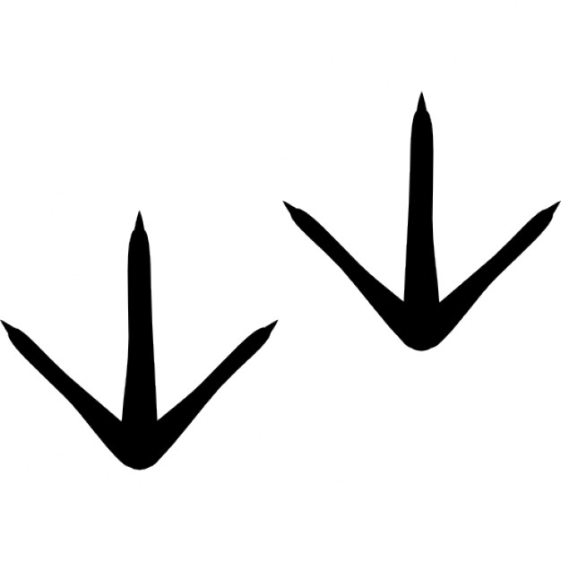 626x626 Chicken Footprints Icons Free Download