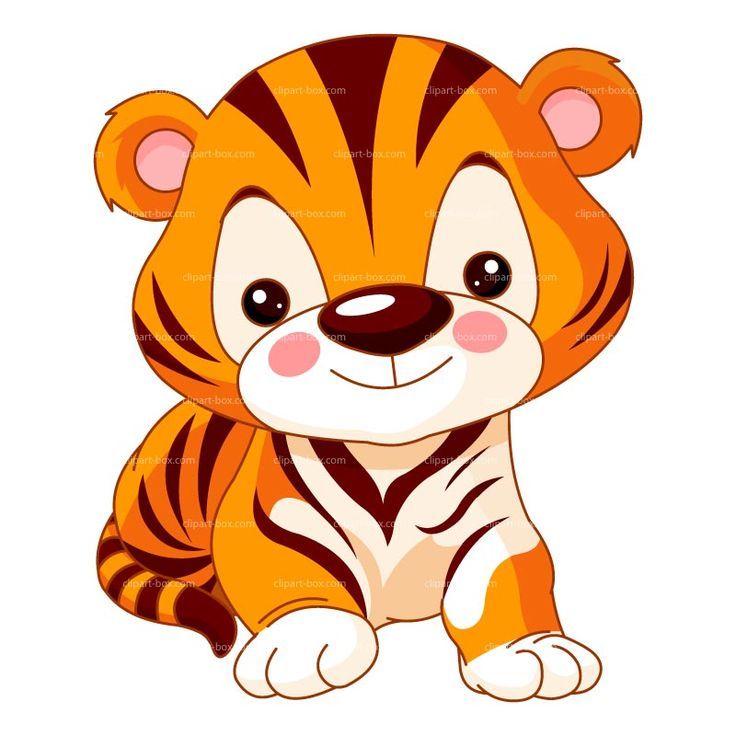 736x736 White Tiger Clipart Jungle Animal