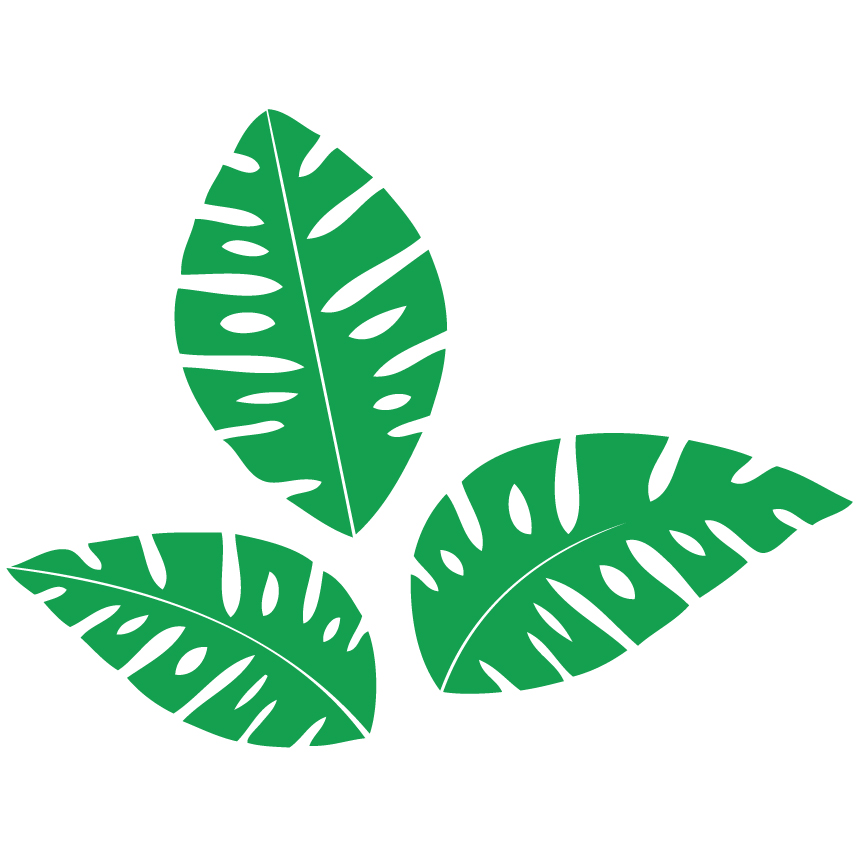 864x864 Fern Clipart Jungle