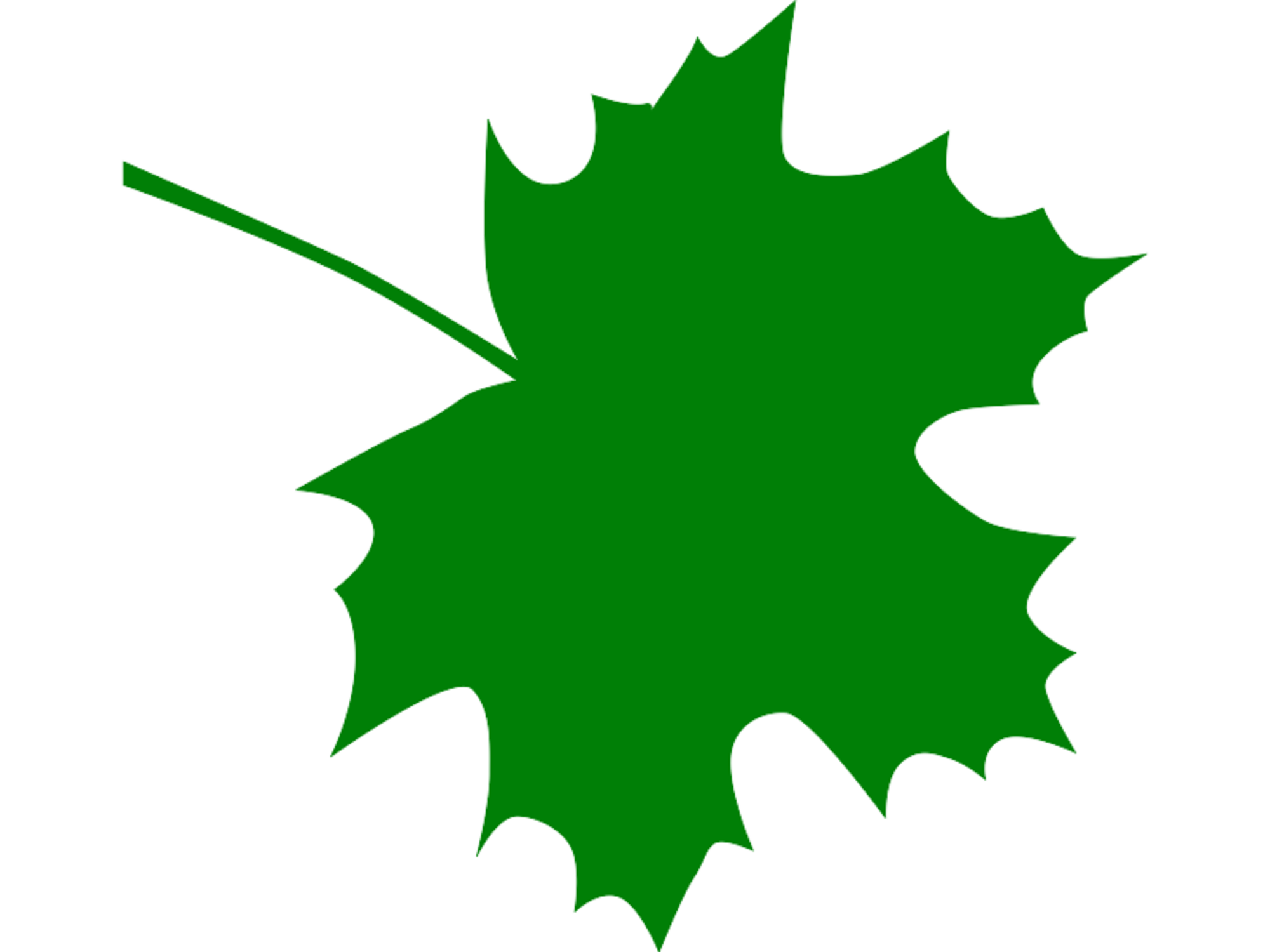 2000x1500 Maple Leaf Clipart