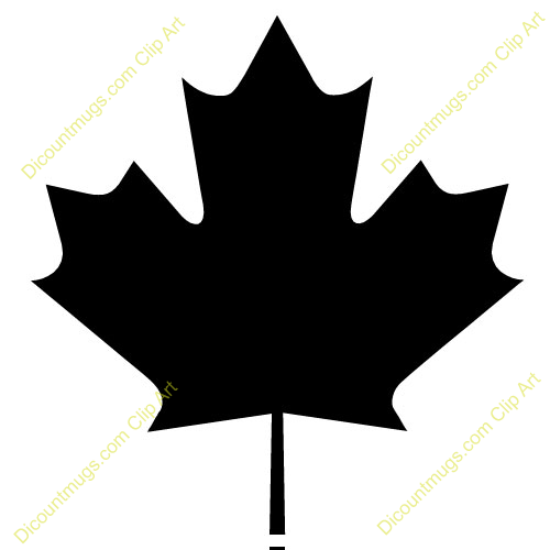 500x500 Maple Leaf Clipart Line Art