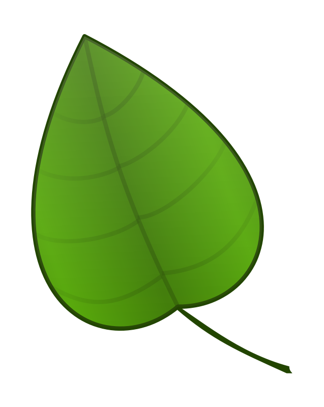 637x800 Top 75 Leaf Clip Art