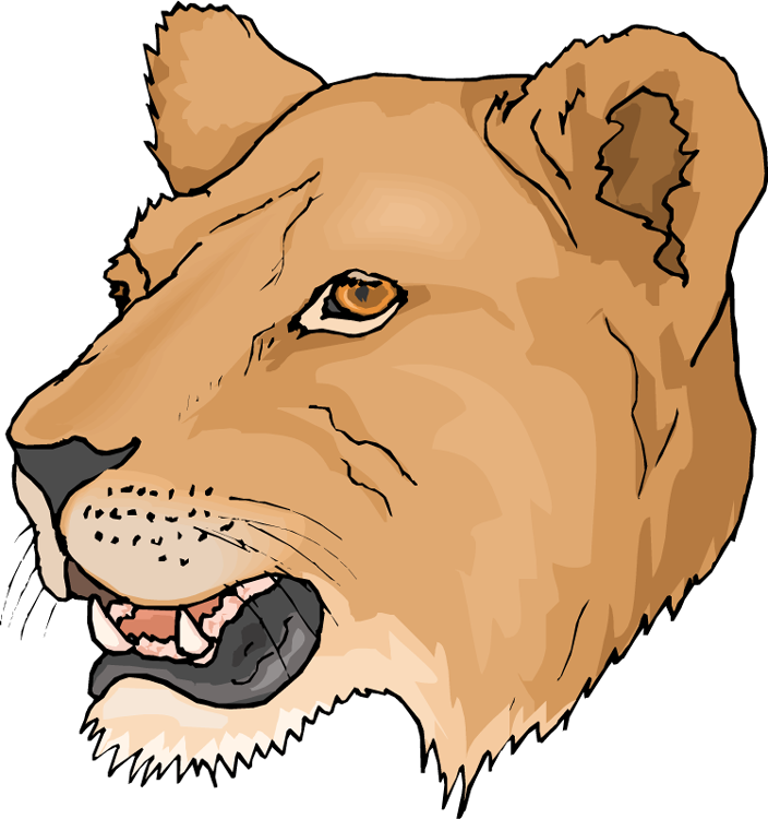 704x750 Free Head Lioness Clipart