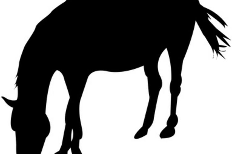 750x500 Microsoft Office Clip Art Free Images