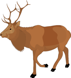 273x299 Brown Moose Clip Art