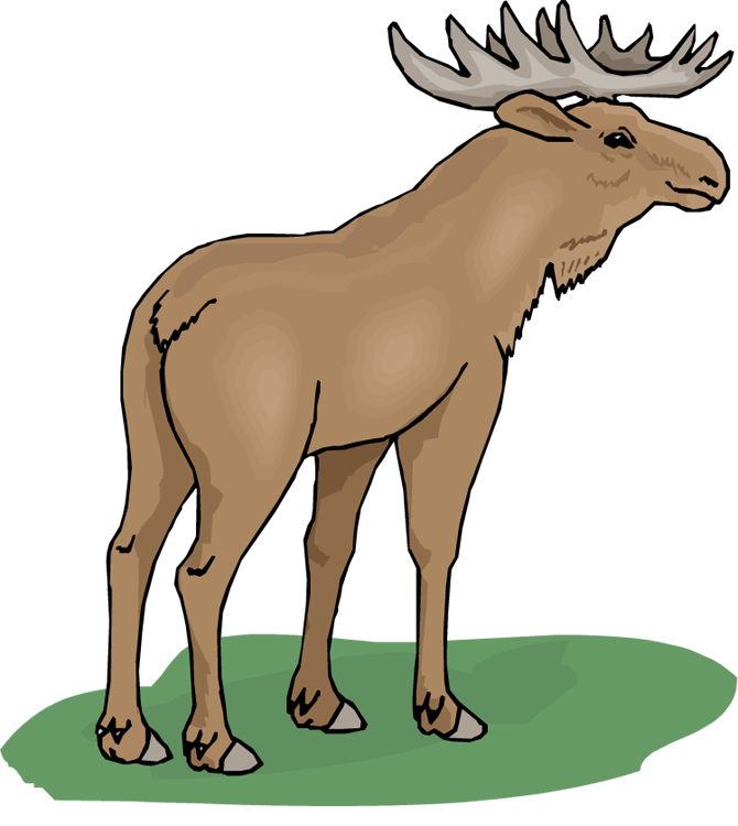 670x750 Top 75 Moose Clip Art