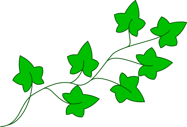 600x410 Leaf And Vine Clipart