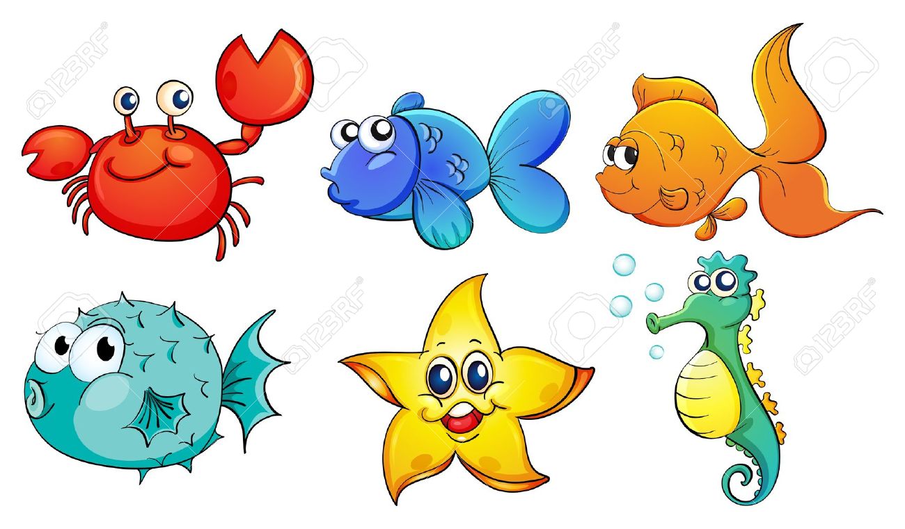 1300x761 Sea Life Clipart