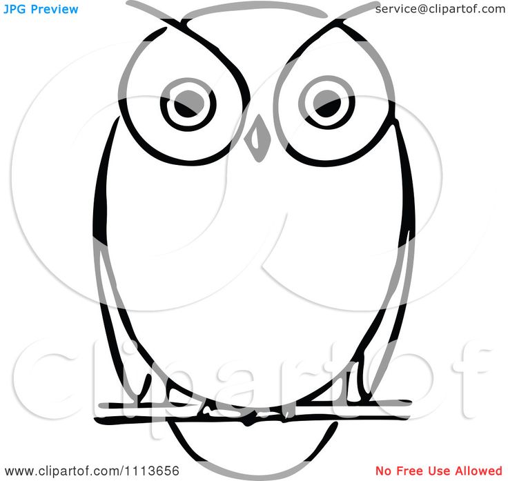 Free Owl Clipart Black And White