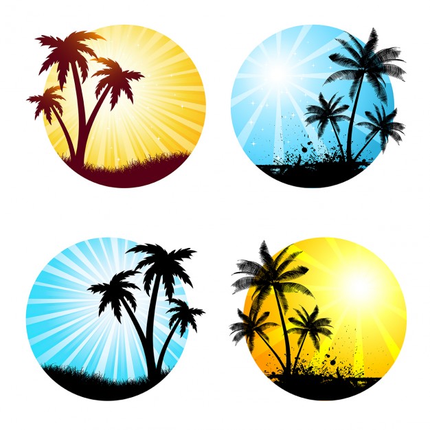 626x626 Various Summer Scenes With Palm Trees Vector Free Download