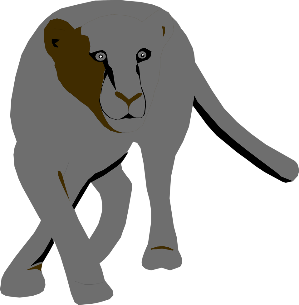 958x978 Black Panther Free Stock Photo Illustration Of A Black Panther