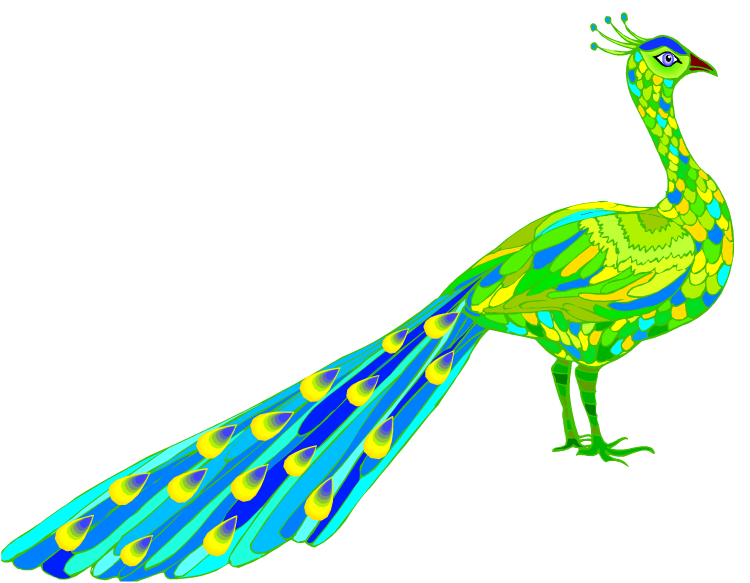 750x583 Peacock Clip Art Download 2