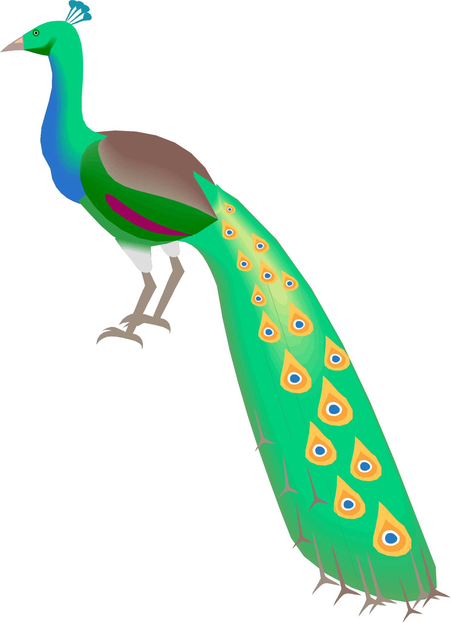 1486x2054 Cartoon Peacock Clipart Pavoreal Clipart Images