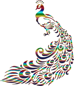 257x300 Chromatic Peacock No Background Free Images