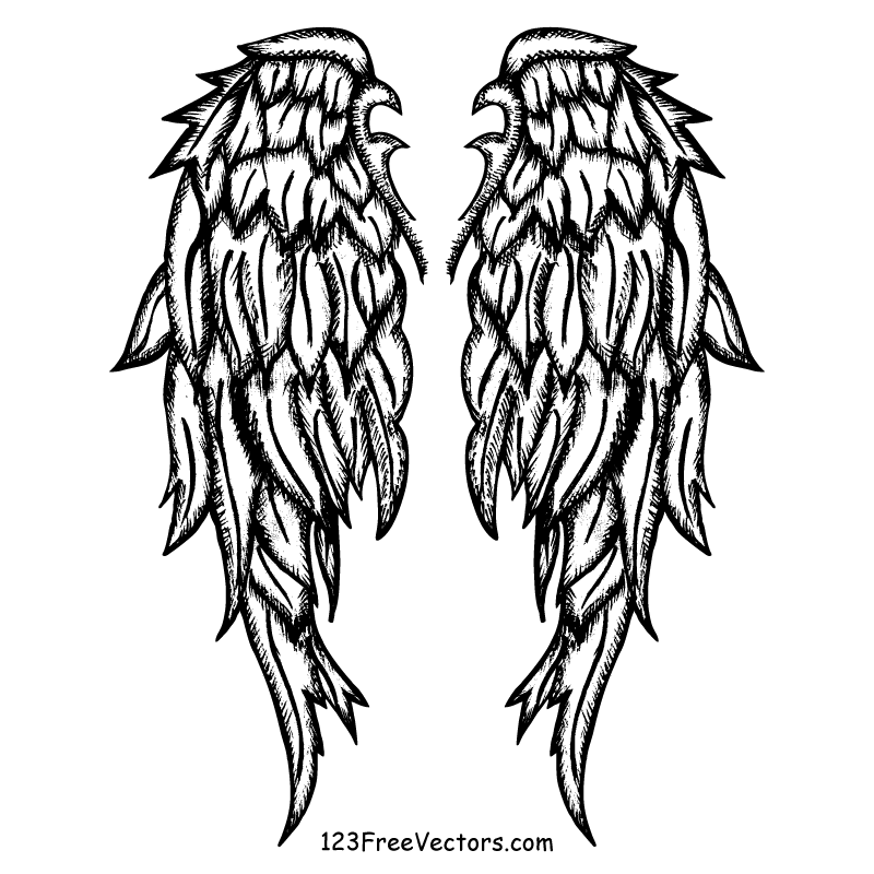 800x800 Drawn Wings Vector Art
