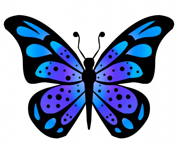 615x512 Butterflies Clipart Clipartmonk