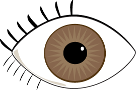 270x180 Brown Eyes Clipart Free Images