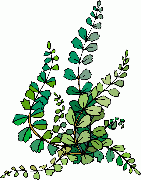 463x588 Parts Of A Plant Clipart Free Images 3