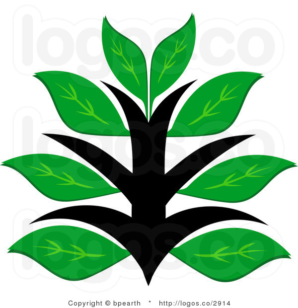 600x620 Plants Clipart Clipart Panda